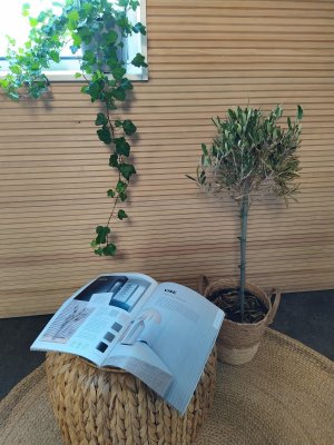 Zoom bild av Innerpanel-Träpanel-Vire-Furu-Sand